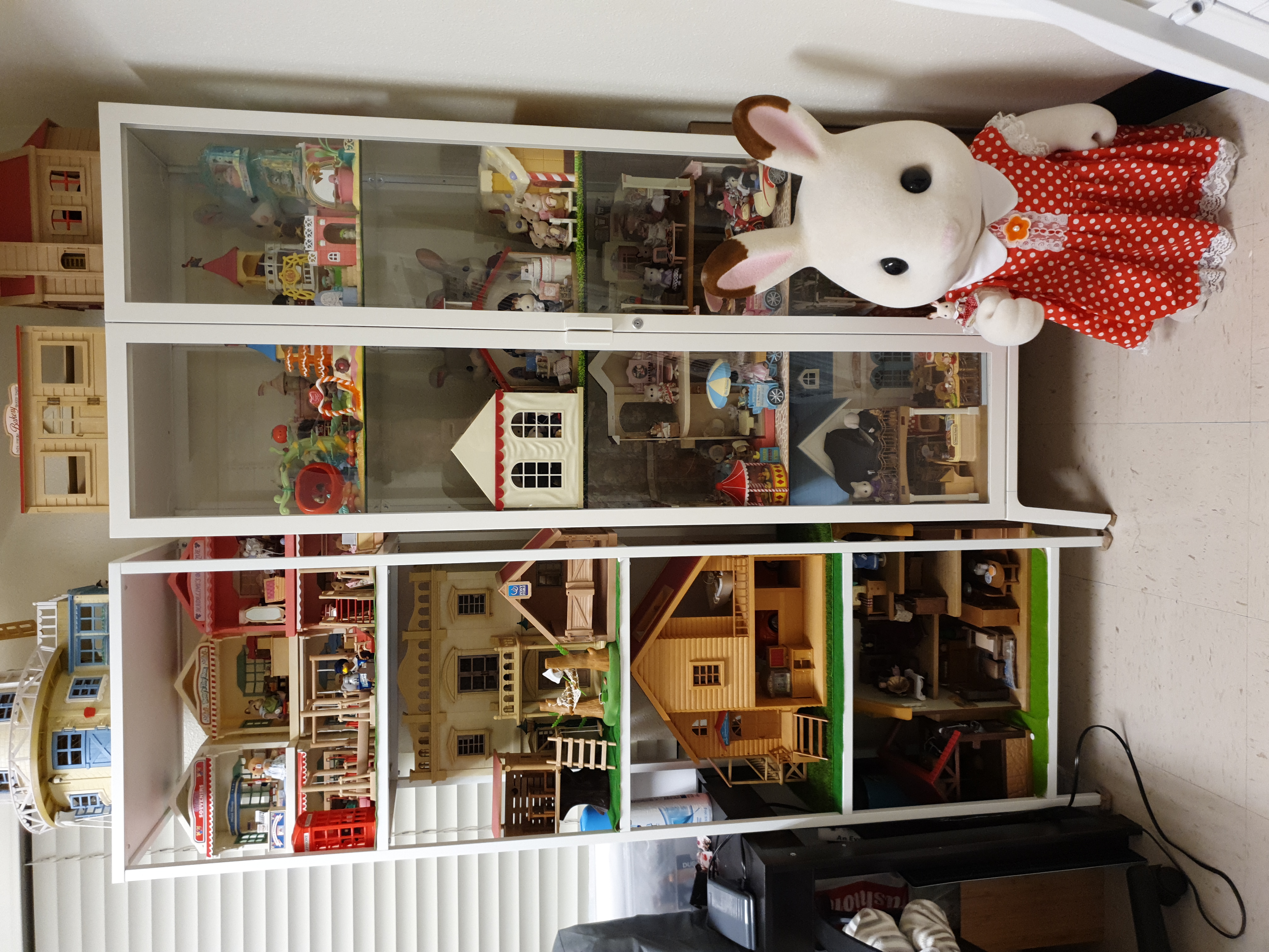 Hobby photo 6